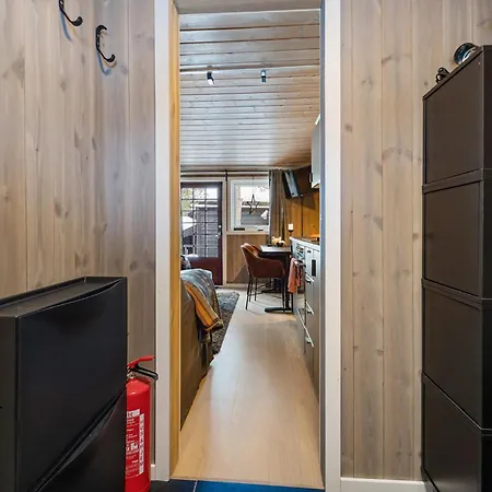 Tolle In Im Setesdal Apartment Hovden (Aust-Agder)